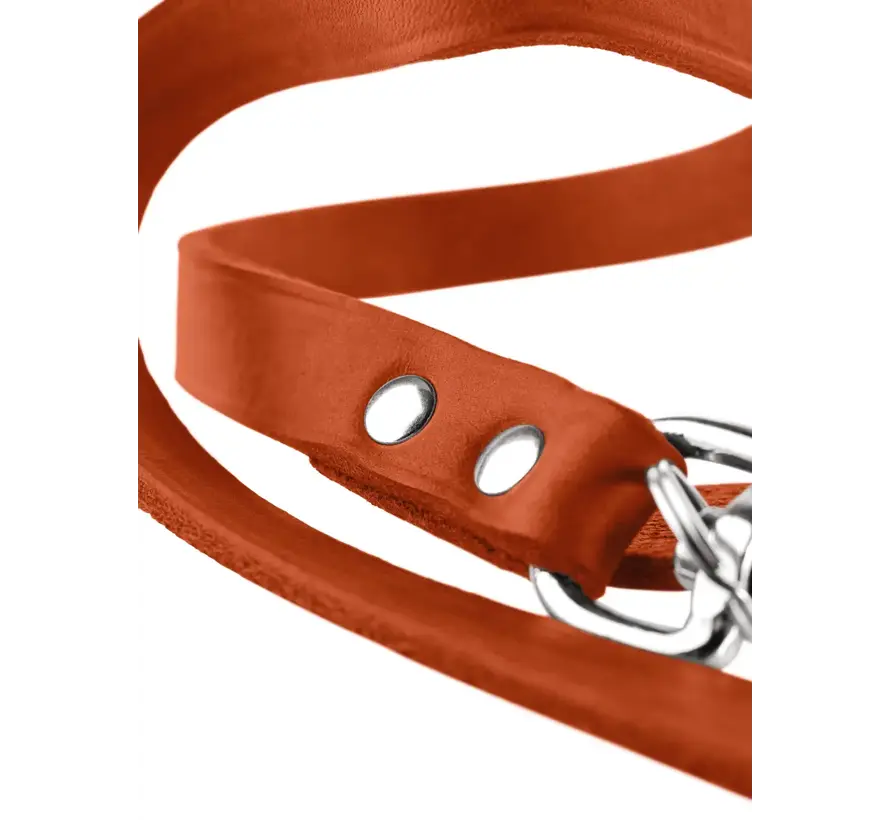 Adjustable Dog Leash Orange