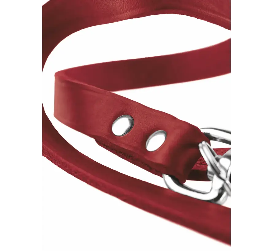 Adjustable Dog Leash Red