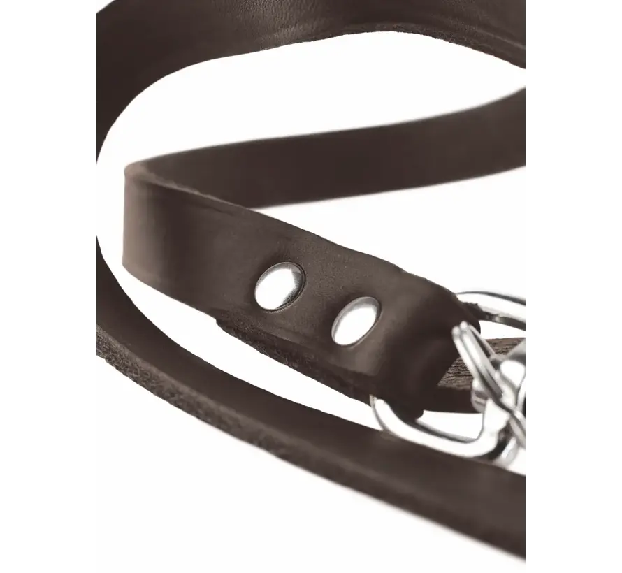 Adjustable Dog Leash Dark Brown