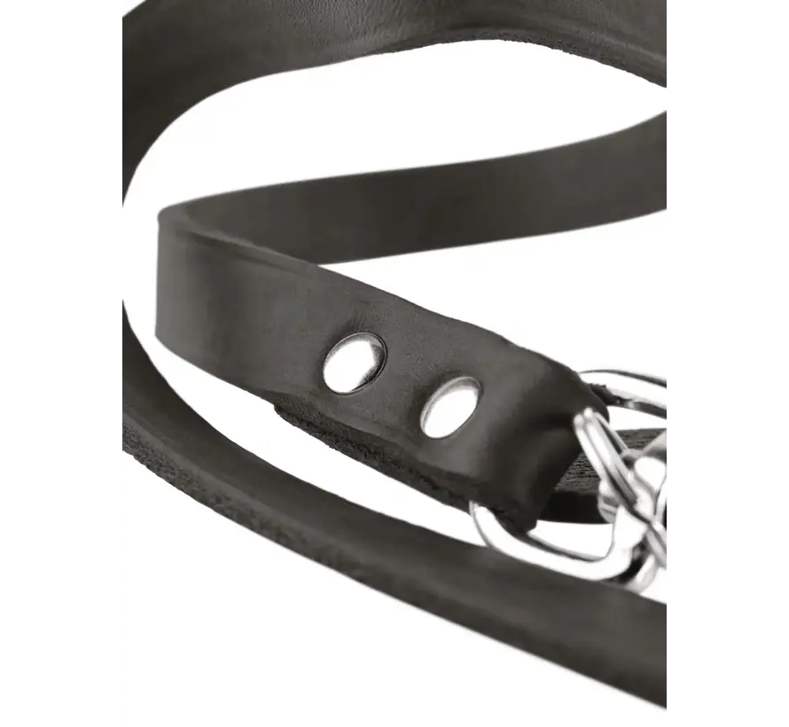 Adjustable Dog Leash Stone Grey