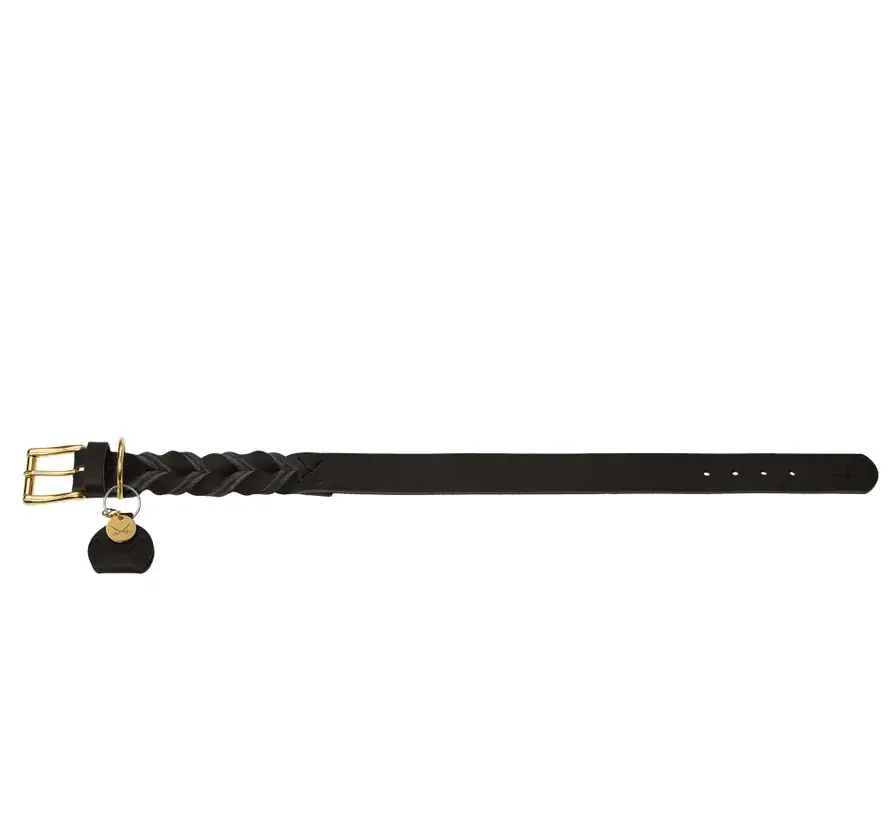 Hondenhalsband Sansibar Solid Zwart