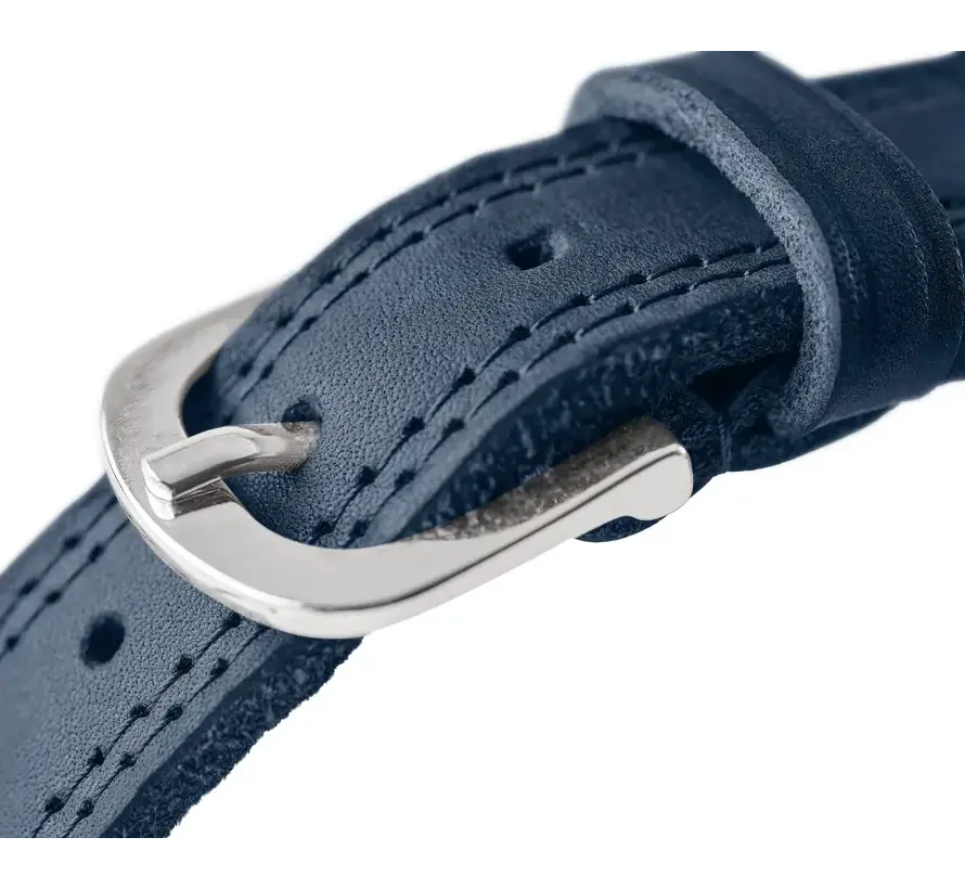 Hondenhalsband Lemvig Rood