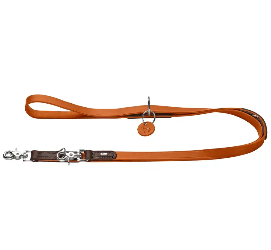 Adjustable Dog Leash Lemvig Orange