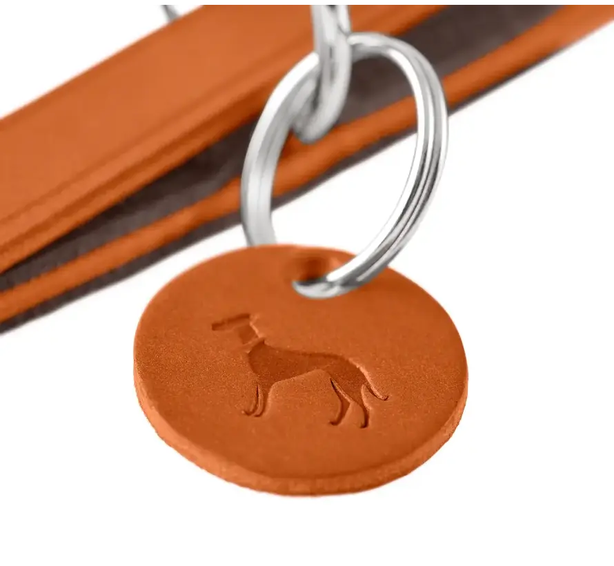 Adjustable Dog Leash Lemvig Orange