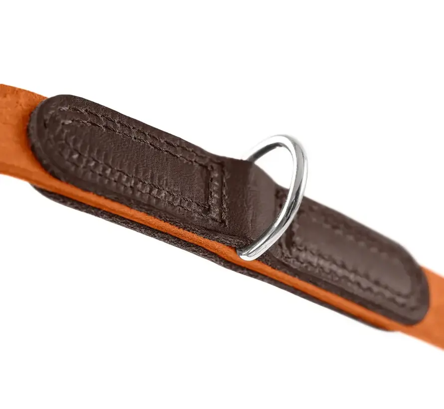Adjustable Dog Leash Lemvig Orange