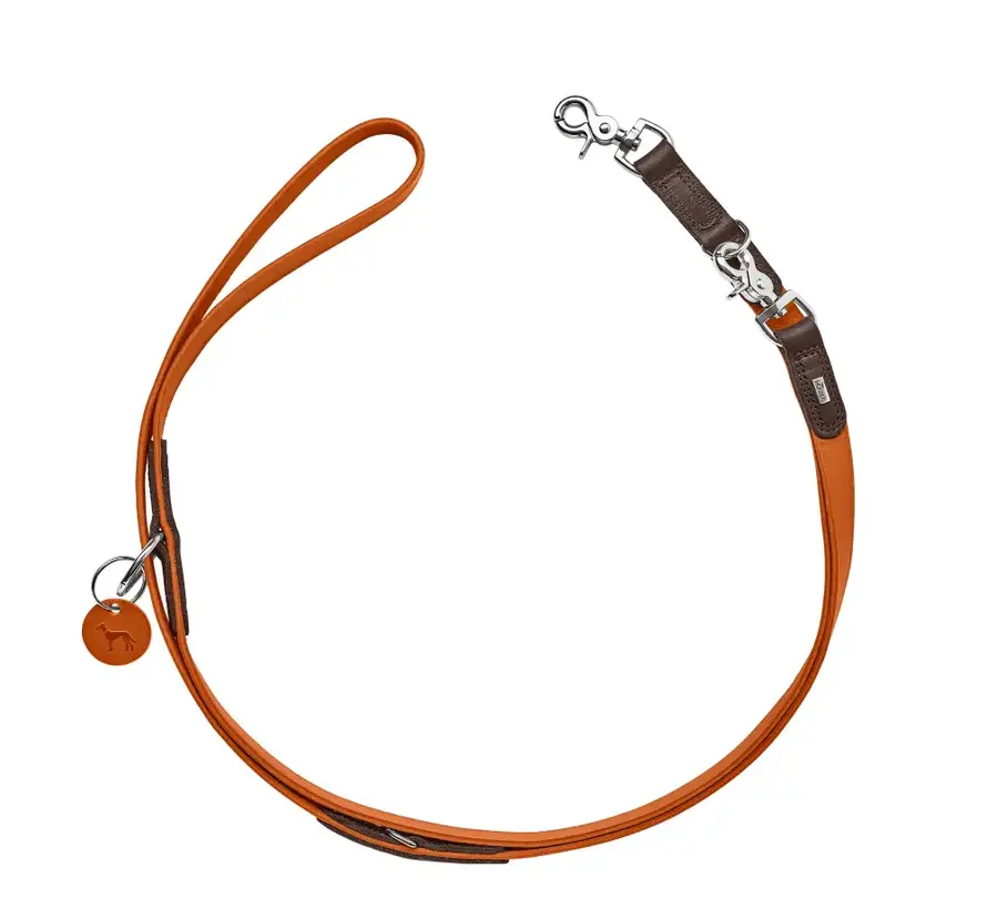 Adjustable Dog Leash Lemvig Orange