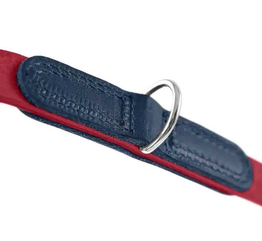 Adjustable Dog Leash Lemvig Red