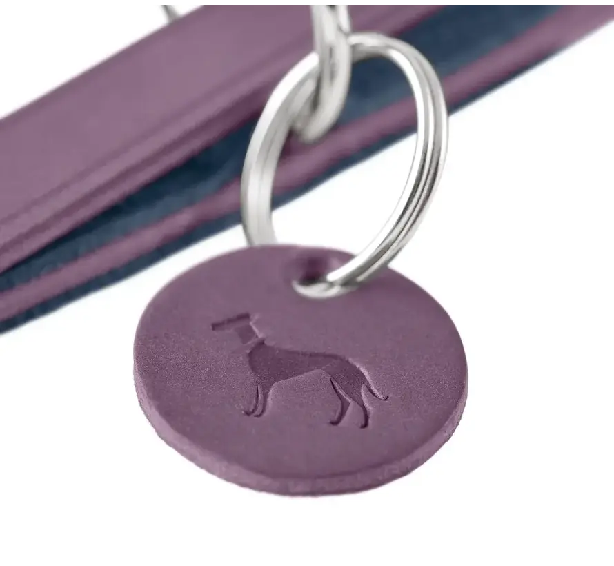 Adjustable Dog Leash Lemvig Purple