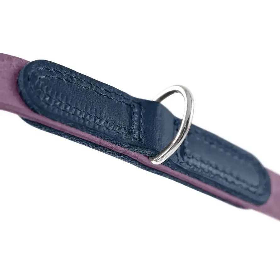 Adjustable Dog Leash Lemvig Purple