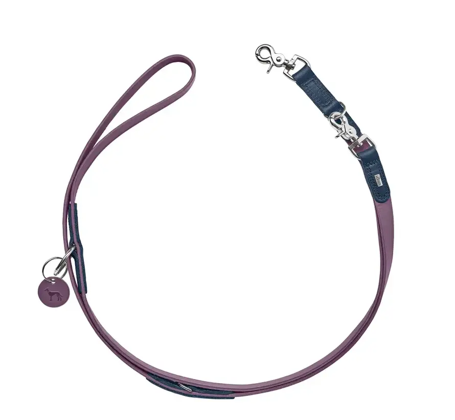 Adjustable Dog Leash Lemvig Purple