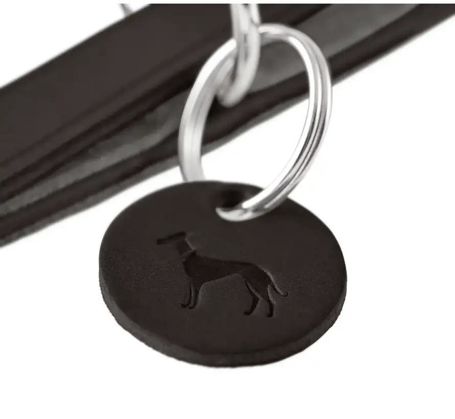 Adjustable Dog Leash Lemvig Cognac - Copy