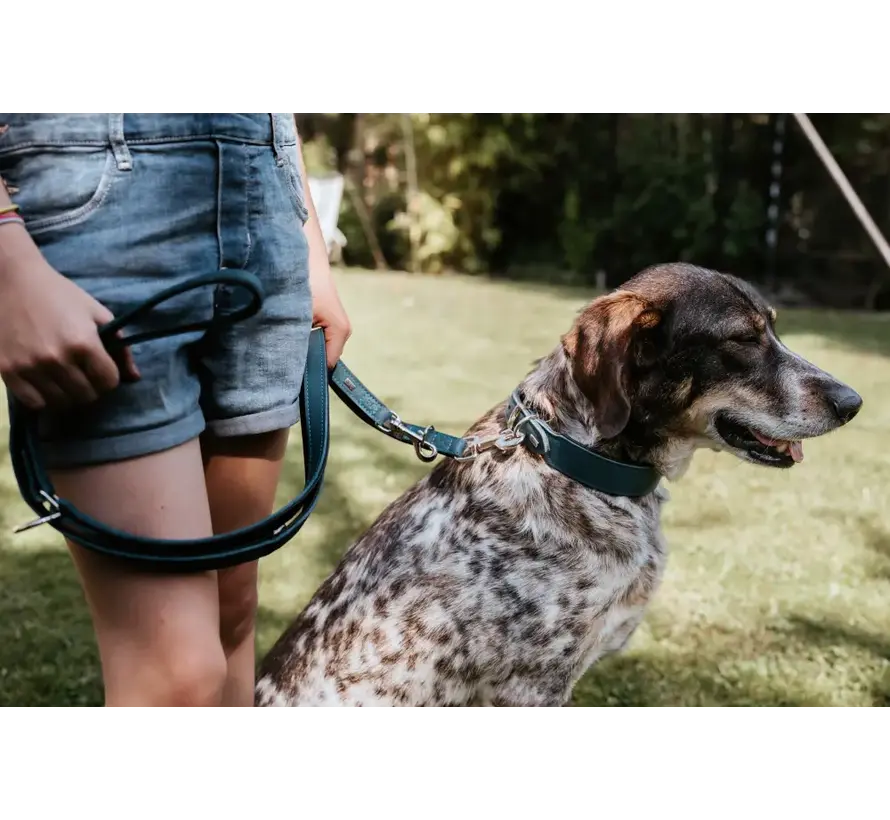 Dog Collar Malta Petrol