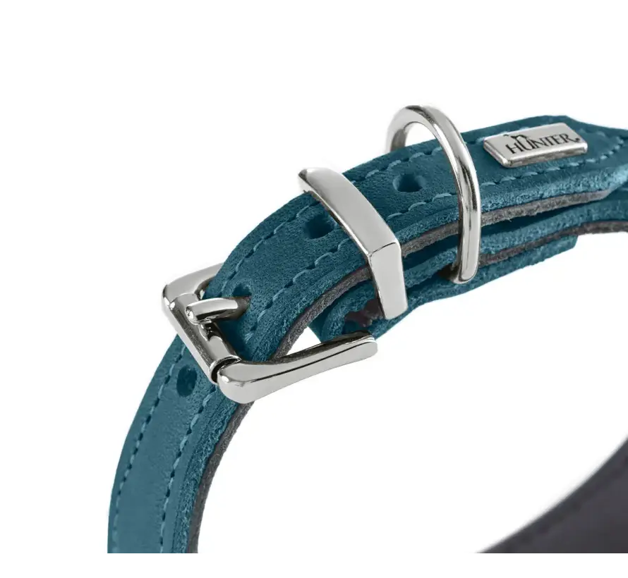 Dog Collar Malta Petrol