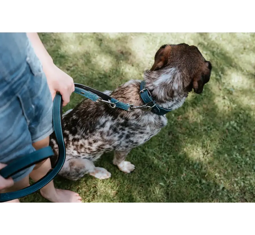 Adjustable Dog Leash Malta Petrol