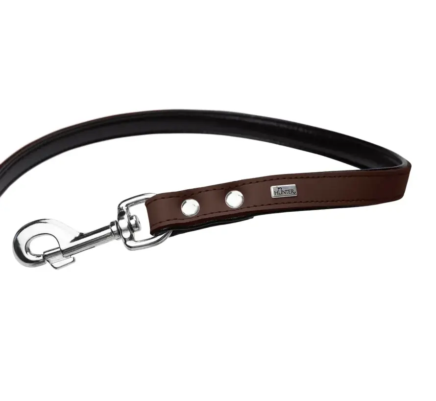 Hondenriem Basic Bruin