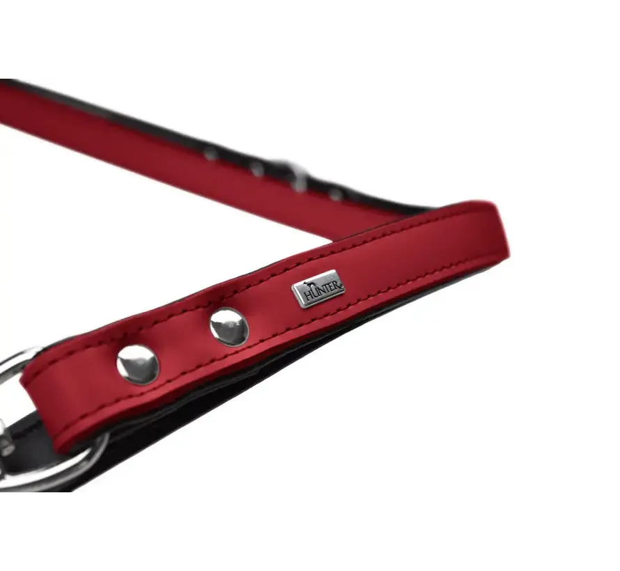 Adjustable Dog Leash Basic Red