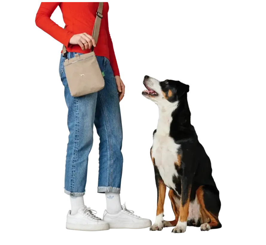 Dog Treat Bag Alva Beige