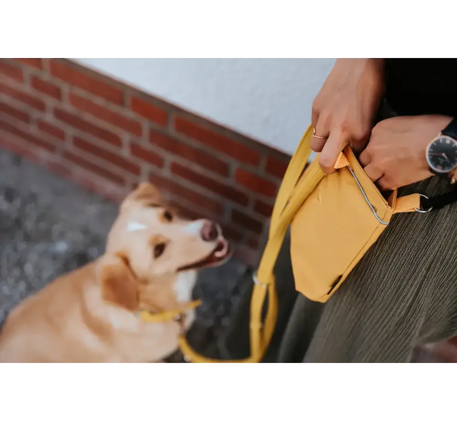 Dog Treat Bag Alva Mustard Yellow