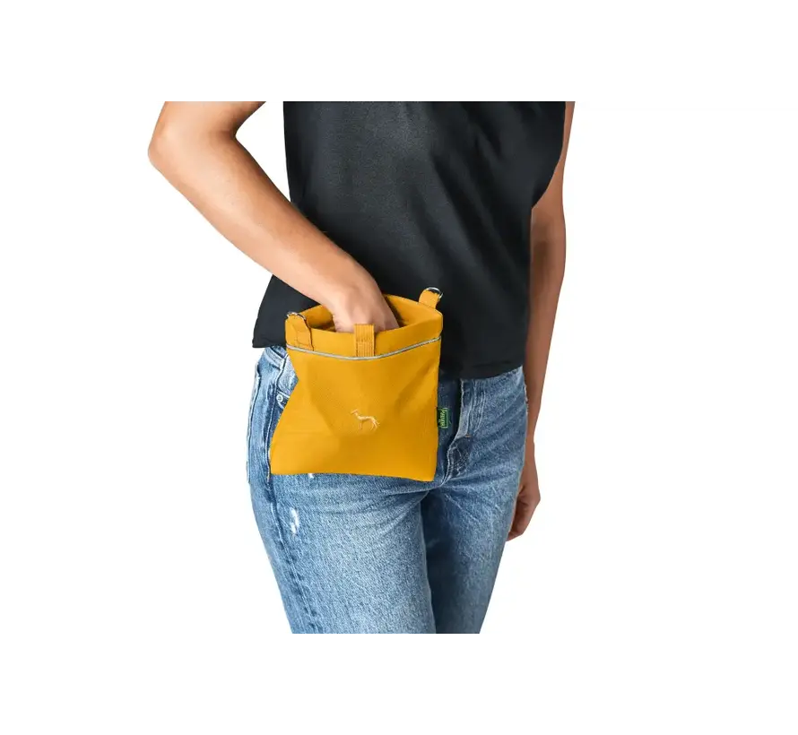 Dog Treat Bag Alva Mustard Yellow