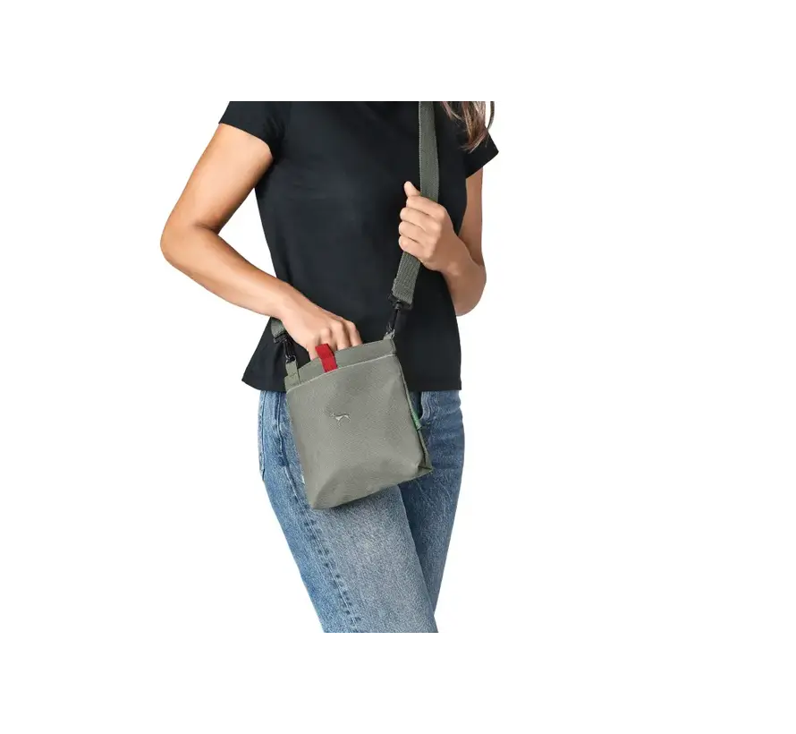 Dog Treat Bag Alva Grey