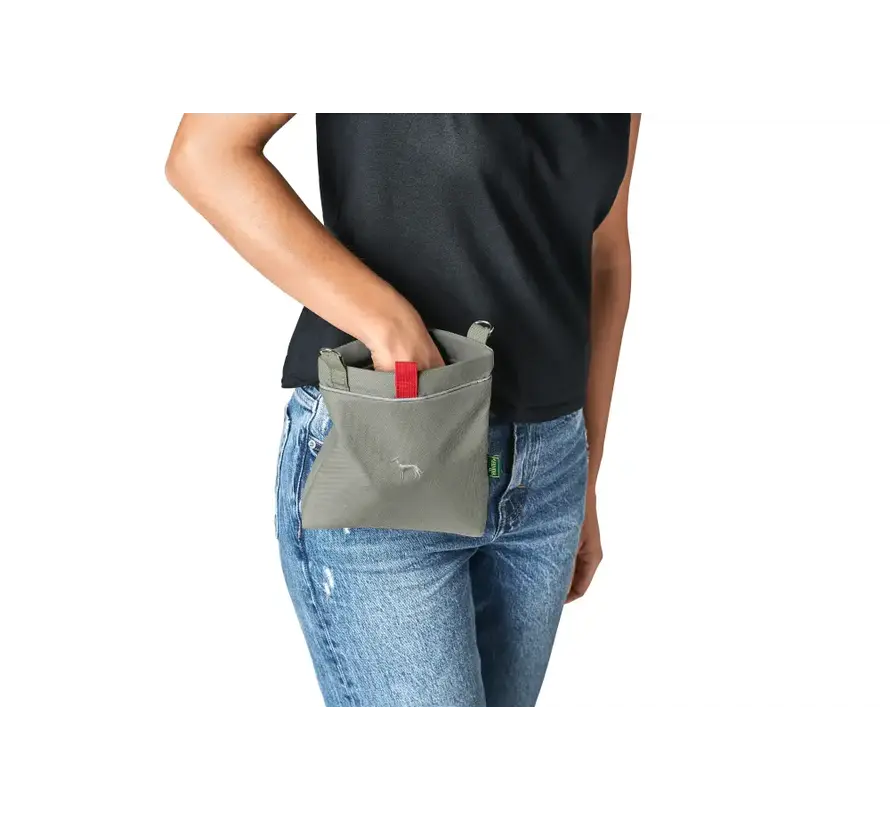Dog Treat Bag Alva Grey