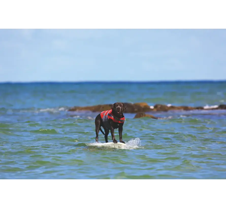 Dog Life Jacket Moss