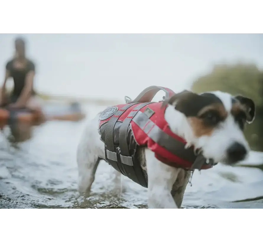 Dog Life Jacket Moss