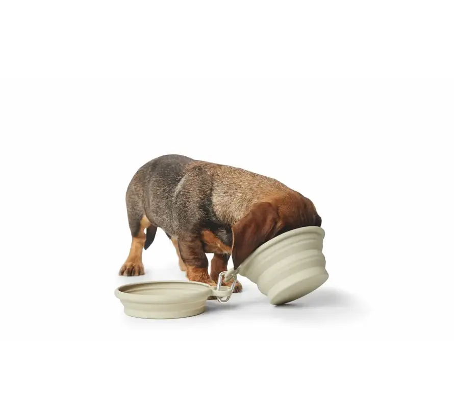 Foldable Drinking and Feeding Bowls List Beige
