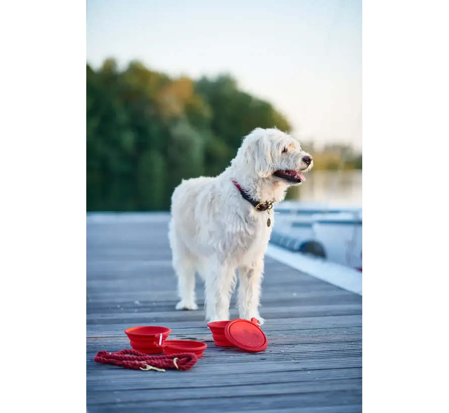 Foldable Drinking and Feeding Bowls List Red