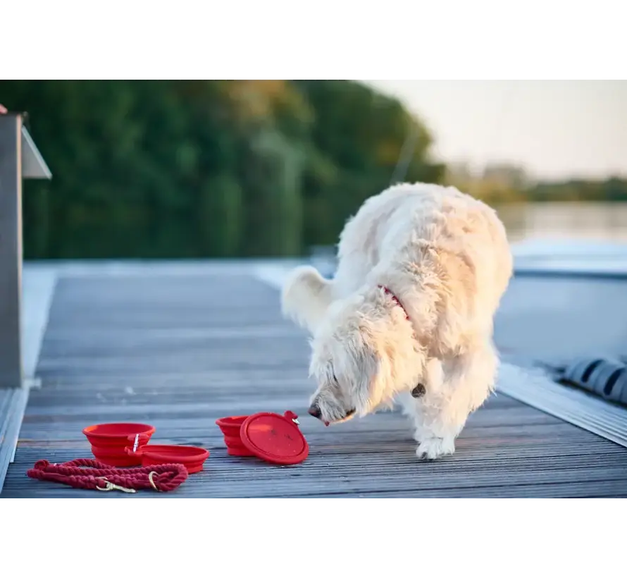 Foldable Drinking and Feeding Bowls List Red