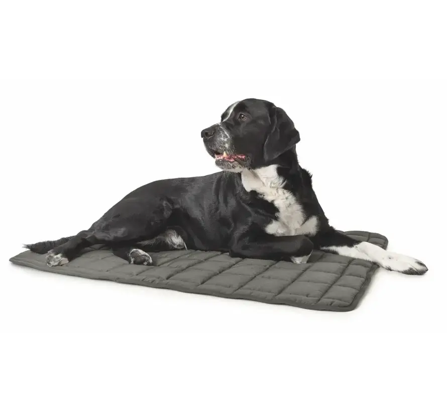 Dog Blanket Hamilton