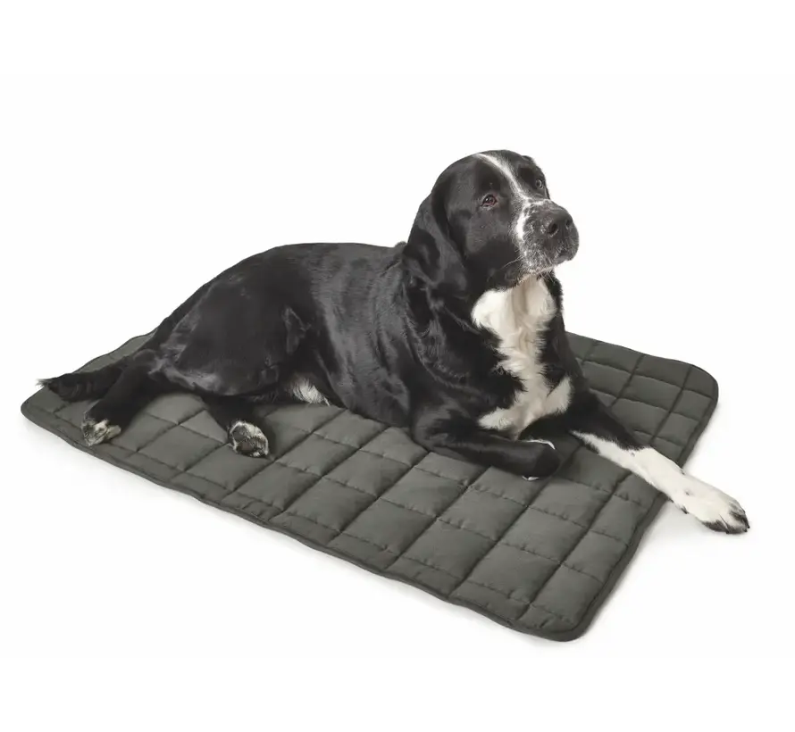 Dog Blanket Hamilton