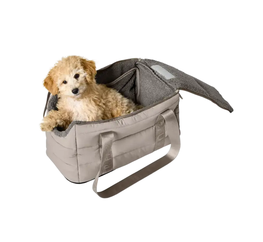 2-in-1 Dog Carrier & Dog Blanket Seoul