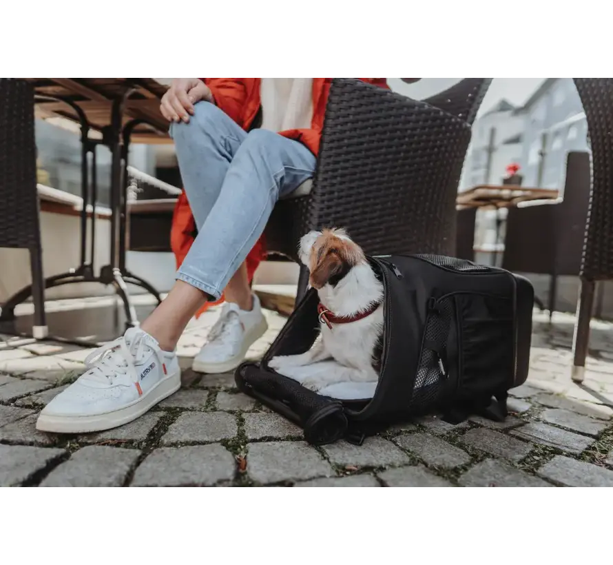 2-in-1 Hondendraagtas & Rugzak Miles – Geschikt als Vliegtuigtas