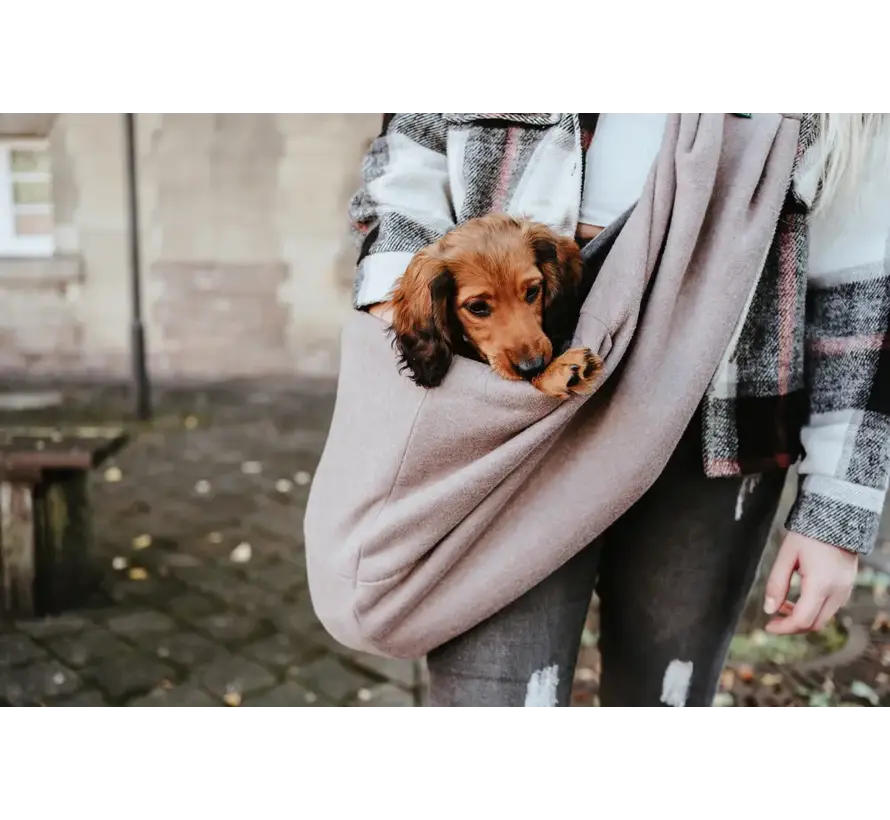Shoulder Dog Carrier Los Angeles