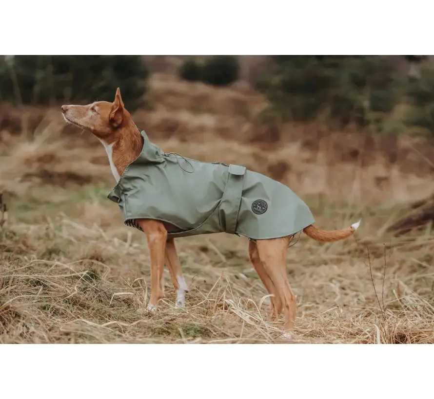 Dog Raincoat Milford Green
