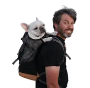 K9 Sport Sack Hondendraagtas Rugzak Kompanion Magnet Grey