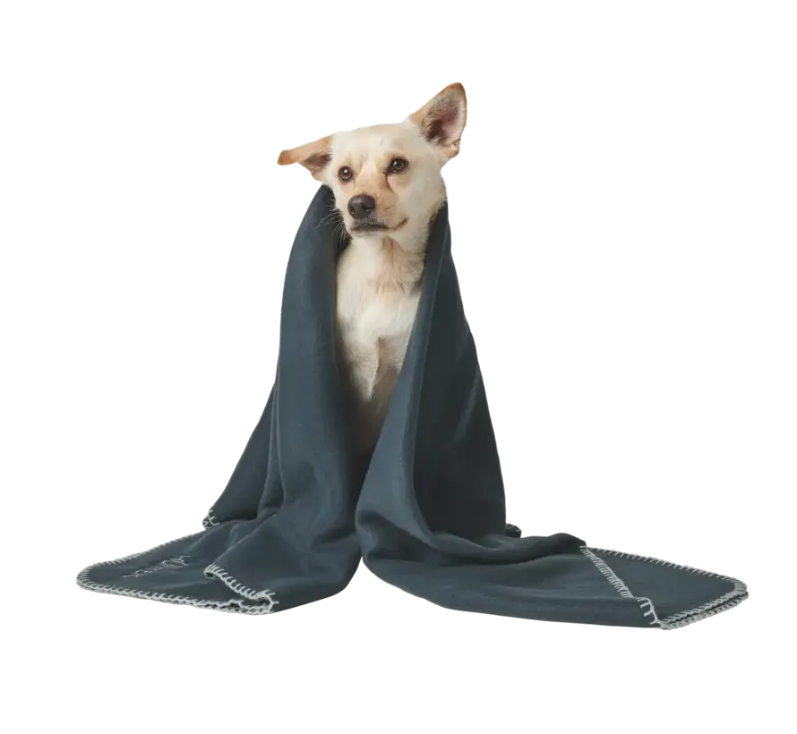 Dog Blanket Casper Anthracite