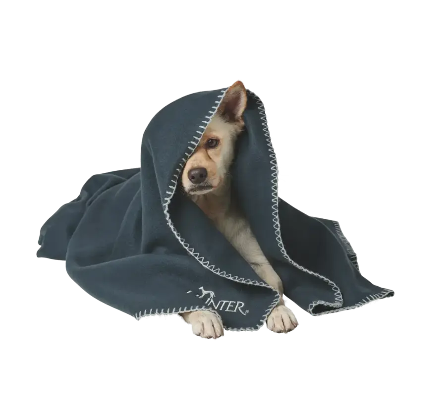 Dog Blanket Casper Anthracite