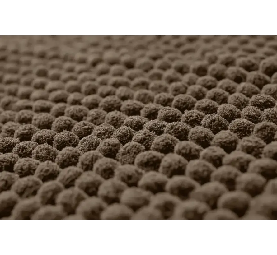 Absorbent Pet Door Mat Brown