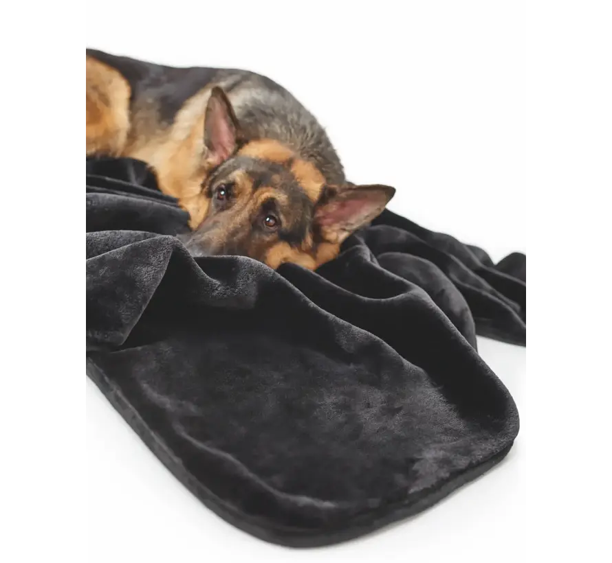 Dog Blanket Konstanz Black