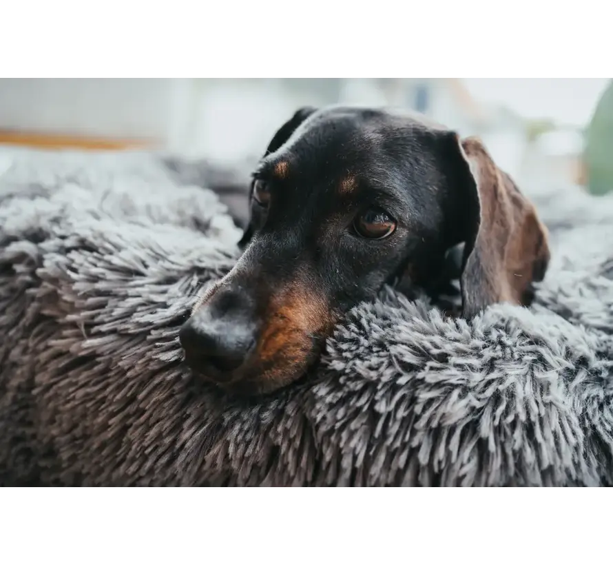 Dog Bed Donut Loppa Anthracite