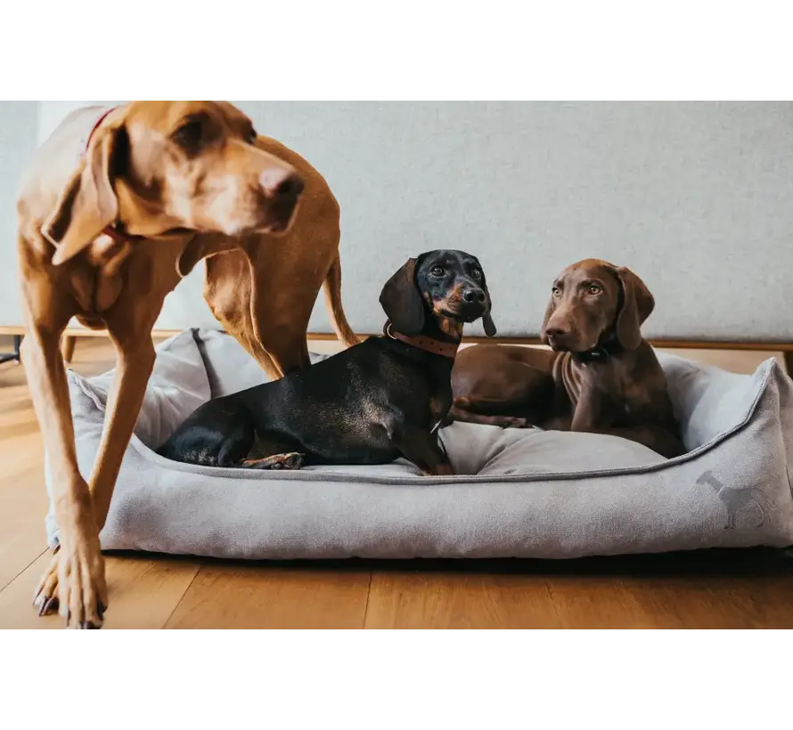 Dog Bed Eiby Grey