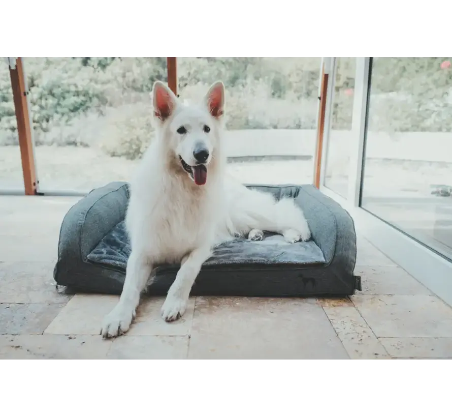 Orthopedic Dog Cushion Livingstone Anthracite