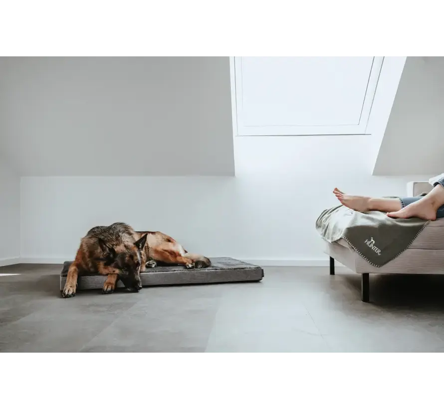 Orthopedisch Hondenkussen Tirano Grijs