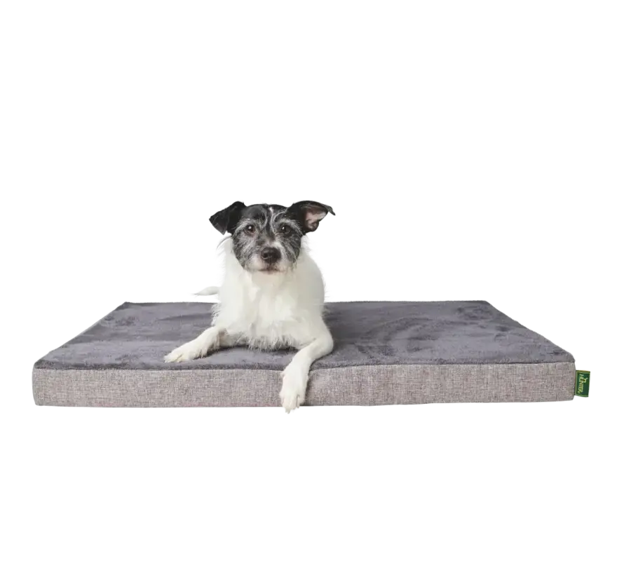 Orthopedic Dog Cushion Tirano Grey