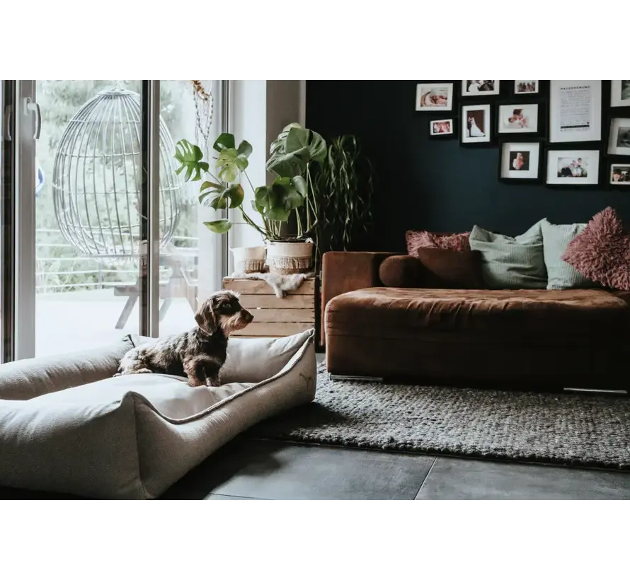 Orthopedic Dog Bed Merida Taupe