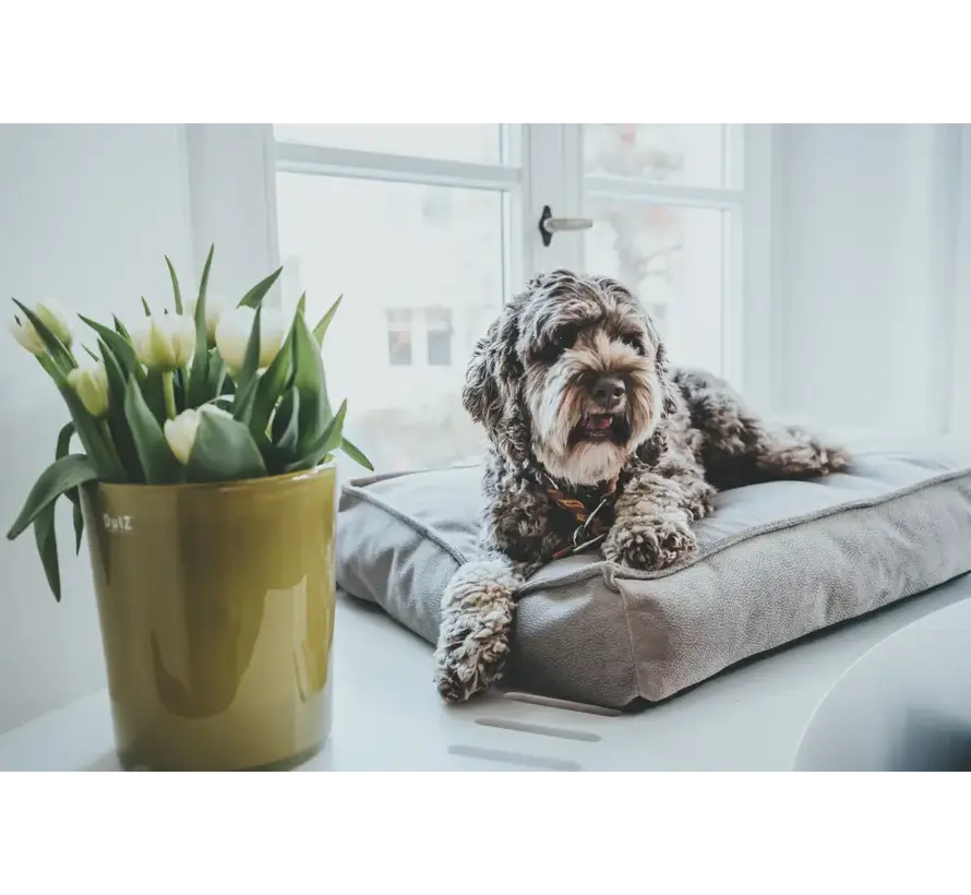 Orthopedic Dog Cushion Merida Taupe