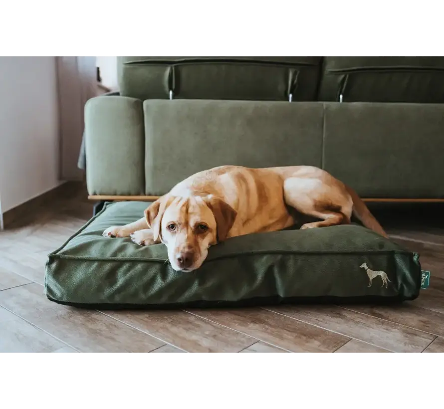 Orthopedic Dog Cushion Merida Green