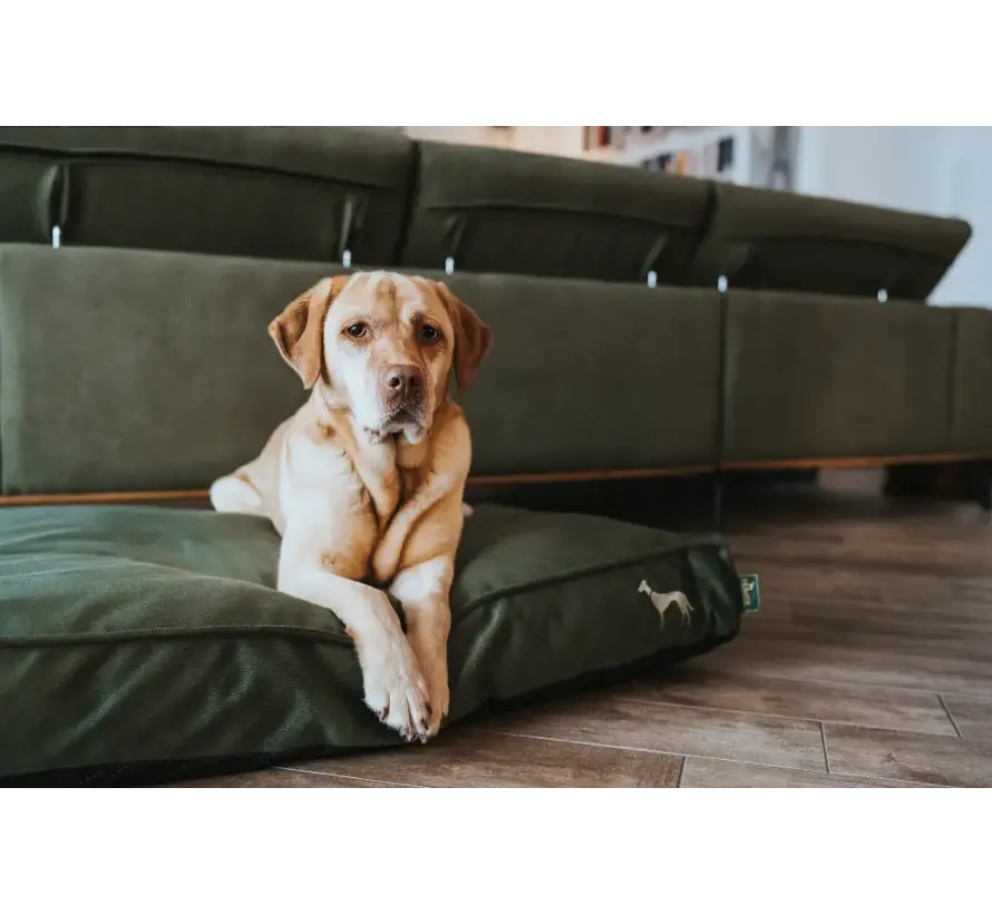 Orthopedic Dog Cushion Merida Green